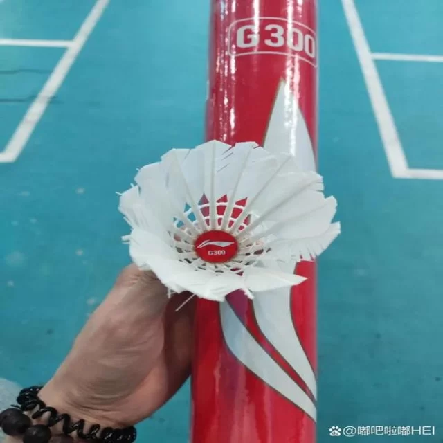 火箭队卡位战全力冲击季后赛席位